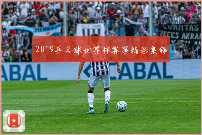 2019乒乓球世界杯赛事精彩集锦