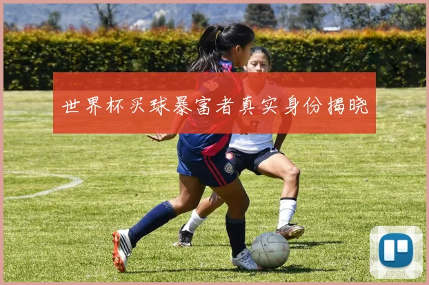 世界杯买球暴富者真实身份揭晓