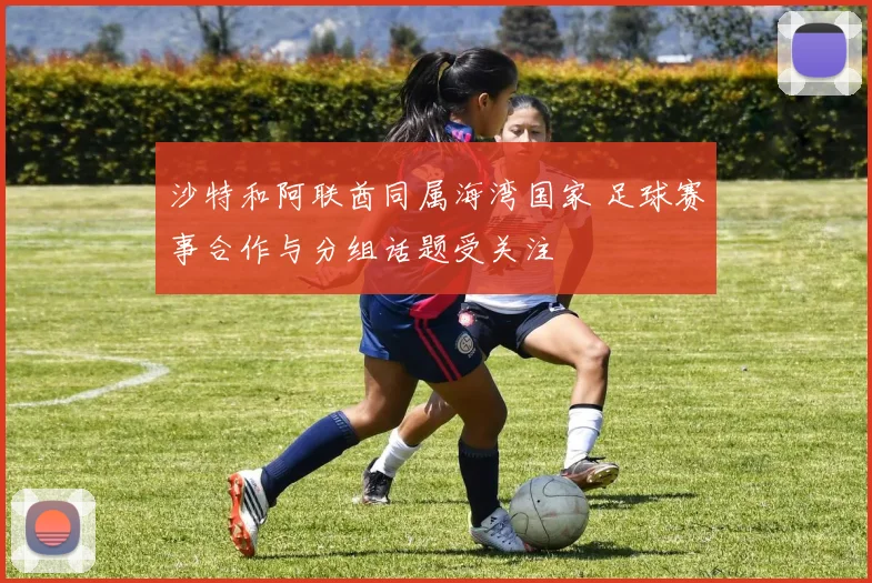 沙特和阿联酋同属海湾国家 足球赛事合作与分组话题受关注