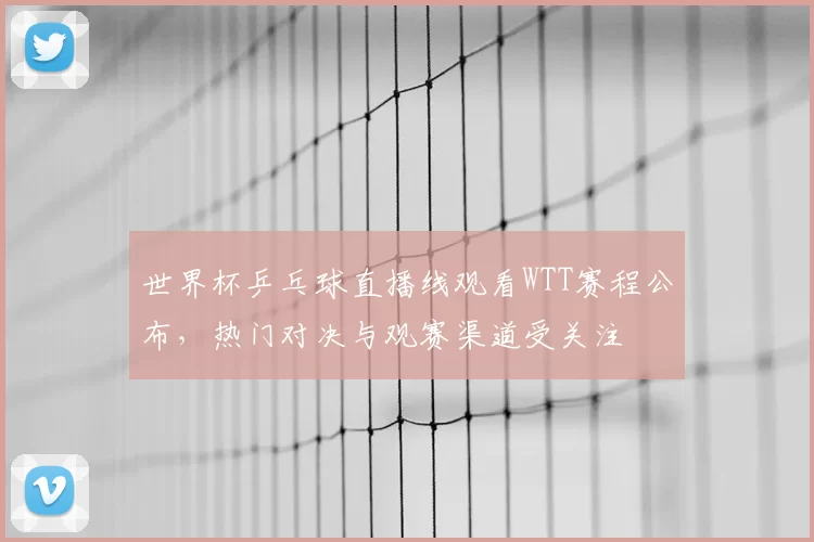世界杯乒乓球直播线观看WTT赛程公布，热门对决与观赛渠道受关注